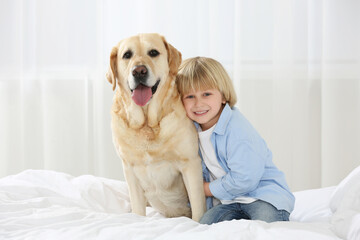 Cute little child with Golden Retriever on bed at home. Adorable pet