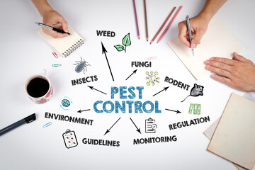 Pest Control Concept. The meeting at the white office table