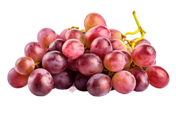 bunch of grapes isolated PNG