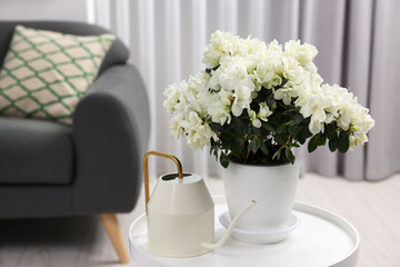 Beautiful azalea plant in flower pot and watering can on white table in room, space for text