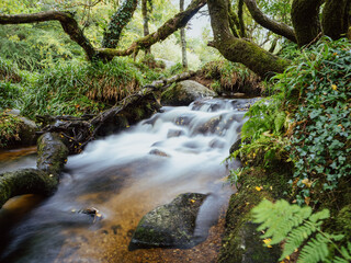 Small waterfall on the River Dart in Devon