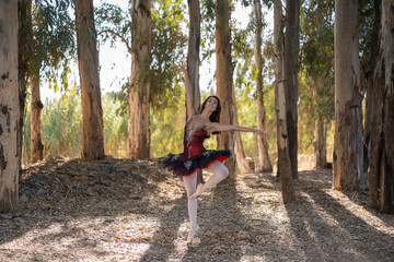 general shot of an attractive slim classical ballet dancer in a forest with dry leaves on the...
