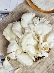 Fototapeta na wymiar Jamur Tiram or Oyster mushrooms are with general characteristics of a white to creamy fruit body and a semicircular hood similar to an oyster shell﻿