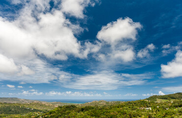 Fototapeta na wymiar Landscape in Barbados with Caribbean Sea, Palm Tree and Blue Sky