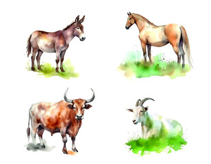 Fototapeta premium Farm, domestic animals, artiodactyls, cow, donkey, horse and goat on a white background.