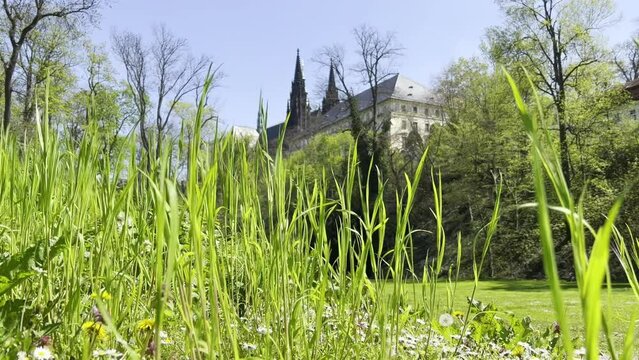 Springtime in Prague