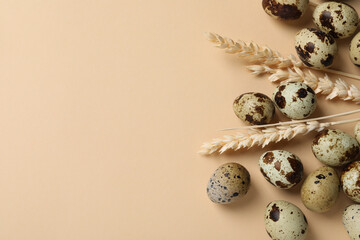 Many speckled quail eggs and decorative ears of wheat on beige background, flat lay. Space for text