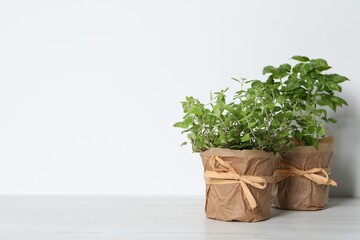 Different aromatic potted herbs on white wooden table. Space for text