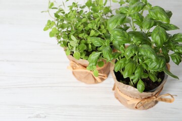 Different aromatic potted herbs on white wooden table, above view. Space for text