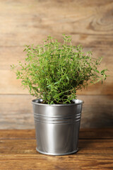 Aromatic green potted thyme on wooden table