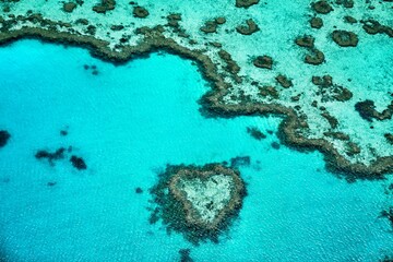 Fototapeta na wymiar hearted reef