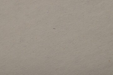 Texture of light grey paper sheet as background, top view