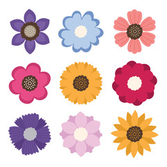 set of flower shape vector