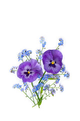 Flowers viola tricolor ( pansy ) and blue wildflowers forget-me-nots on a white background with space for text. Top view, flat lay