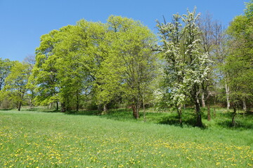 Parkanlage Theresienstein in Hof an der Saale