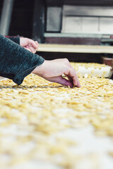 Hands selecting dried beans that go through a machine