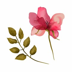 Obraz na płótnie Canvas Watercolor pink flower and green leaf isolated on white background. Botanical illustration as a design element of greeting cards, wedding invitations, cover design, labels.