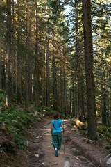 A woman in a hat with a stick, a path among tall spruces to Shpytsi mountain, Ukrainian Carpathians. Coniferous forest, a walk on a summer day. Vertical photo. Back view.