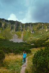 Fototapeta na wymiar A woman hiker with a wide hat moves to the top of Spytsi mountain, Carpathians, Ukraine. He has a long stick in his hands. Travel and active recreation. Vertical photo