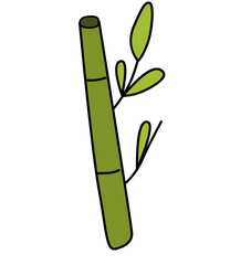 bamboo.