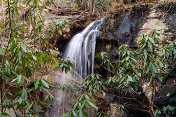 waterfall in the woods