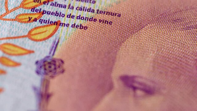 High-resolution detail of watermark on Argentine banknote (100 pesos/Evita Peron)