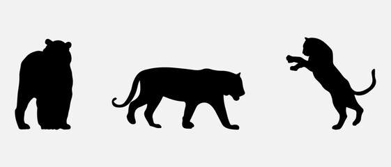 isolated black silhouette of a tiger, vector collection