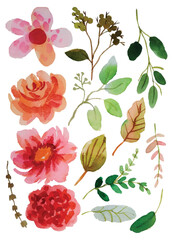 watercolor flower hand draw elements