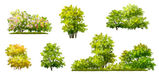 Vector of green grass or shrub isolated on white background,tree elevation for landscape concept,environment panorama scene,eco design,meadow for spring,autumn 