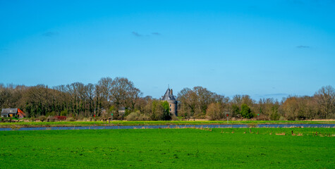 Rural landscape near Bronckhorst, Netherlands
