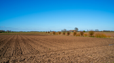 Rural landscape near Bronckhorst, Netherlands
