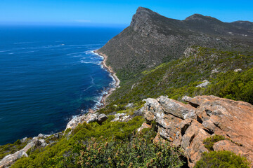 View at the coast of Cape Point in South Africa
