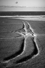 Reifenspuren auf einem Feld