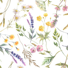 Floral watercolor pattern with flowers isolated on white background. Summer meadow. Delicate watercolor textile print.
