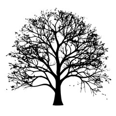 Tree Silhouette isolated on white background 