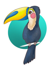 color illustration cartoon childish style tropical bird toucan bright design element cover print sticker and media