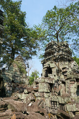 Ta Phrom temple with trees growing from the rocks (which inspired Tombraider, Lara Croft) © Vincent