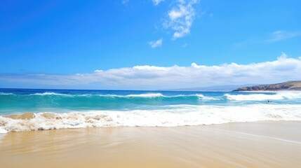 Fototapeta na wymiar Beautiful beach with turquoise water and palm trees