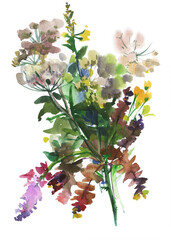 Bouquet of wild flowers. Illustration. Watercolor drawing, isolated on white background.
