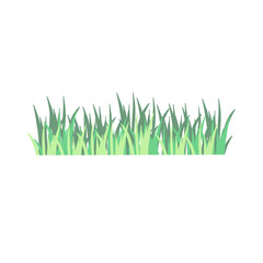 Fototapeta premium Green grass hand drawn, landscape