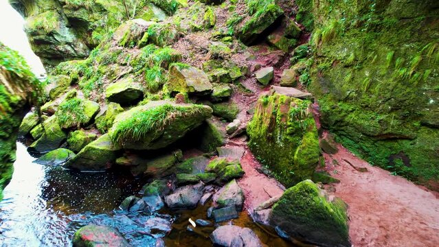 Devil's Pulpit -Finnich Glen, Scotland 2023 - Flying over the stream in the gorge