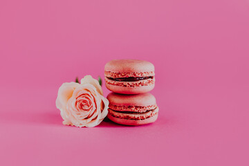 Tasty french macarons with tender rose flowers on a bright pink background.