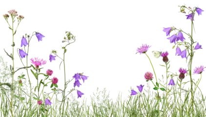 Fototapeten Meadow with wild flowers, transparent background © Marina Lohrbach