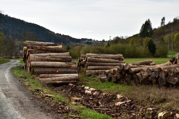 Fototapeta na wymiar Pile of logs in a rural place