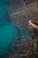 Rusty iron debris is covered with algae. The bottom of the sea bay. Underwater world. Fishing harbor. View of the pier under the water. The kingdom of Poseidon. Small seaweed A broken ship s rope.