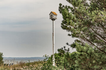 White Purple Martin birdhouse sits high up on a white pole next to a white pine tree overlooking a beach and lake in the background and a cloudy blue sky