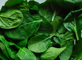 Spinach background full image. Top view.Fresh green baby spinach leaves. high oxalates greenery.