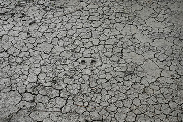 dry and sun cracked earth
