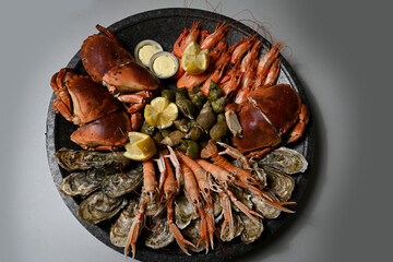 shellfish in a seafood platter - obrazy, fototapety, plakaty