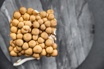 mushroom brown shimeji healthy meal food snack on the table copy space food background rustic top view keto or paleo diet veggie vegan or vegetarian food